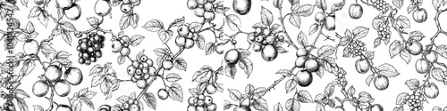 The background of this artwork features lemons, grapes, plums, apples, and grapes