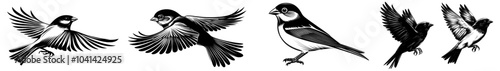 Woodcut style illustration with detailed sketch of vintage engraved sparrow on branch