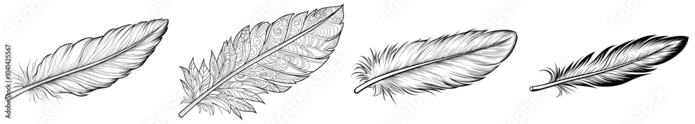 Obraz premium Lightness and freedom symbolized by a minimalist black and white feather illustration