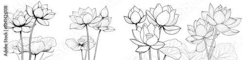 An etching drawing of lotus flowers. A modern, isolated illustration of a blooming waterlily. A sketch for a poster, greeting, invitation, or coloring book.