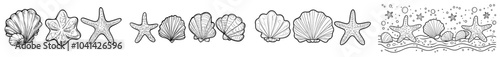 A modern set of seashells. Linear drawing of starfish and scallop painted in black ink in an etching style. Illustration of seashells on an isolated background.