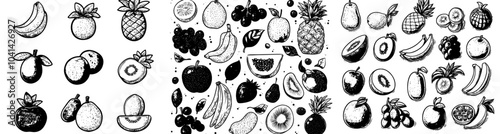 Food doodle icons modern of tropical fruits including mango and durian, papayas, and lychees as well as pineapple and custard apples. Vitamin nutrition contour illustrations of pomegranates and