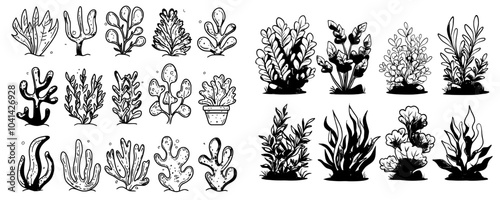 A modern set of seaweed sea weed underwater plants doodle icons. Padina and japanese kelp, Sargassum horneri and arthrospira plantesis, undaria plumose and egagropylus herbs contour illustrations.
