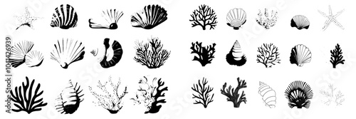 Marine sea shells, coastal conch, tropical scallop, underwater mollusc, clam, shellfish collection. Isolated on white. Flat modern illustration.