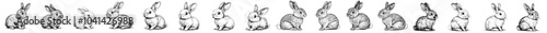 Illustration with engraving style of an isolated sitting hare.