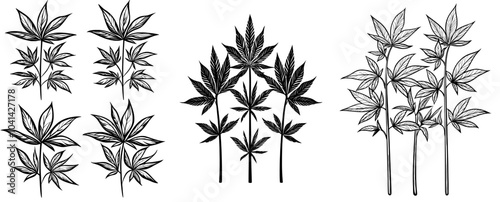 In a minimalistic black and white line drawing, four stylized flowers are seen holding multiple pointed petals on long, slender stems.