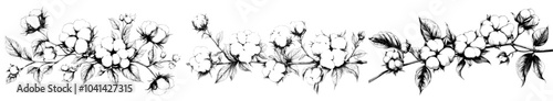 Organic cotton branches, ripe, unripe, and blooming. Hand drawn, black and white illustration on a white background.