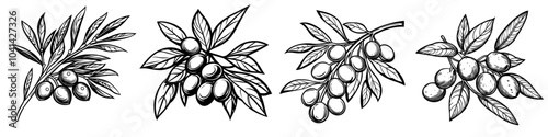 Isolated hand drawn illustration of sea buckthorn berries with hand painted leaves. Ideal for greeting cards, posters, textiles, prints, and patterns.