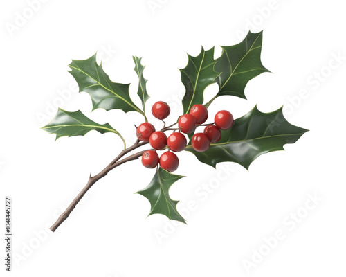 A branch of holly berries with red berries on it. The berries are small and round. The branch is green and has a stem