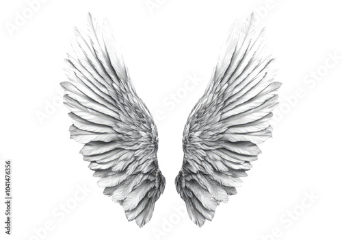 Photo of silver color wings .Transparent background. Isolated PNG.