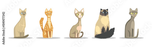 Different Cat Breed as Domestic Pet in Sitting Pose Vector Set