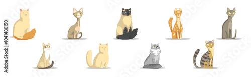 Different Cat Breed as Domestic Pet in Sitting Pose Vector Set