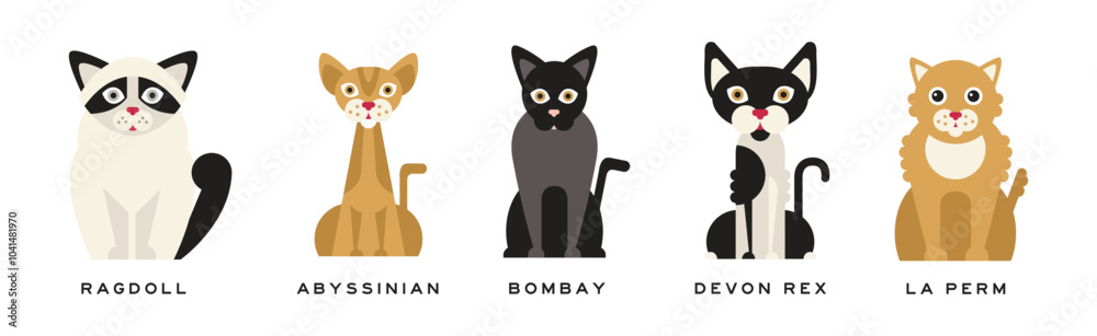 Different Cat Breed as Domestic Pet in Sitting Pose with Name Vector Set Different Cat Breed as Domestic Pet in Sitting Pose with Name Vector Set