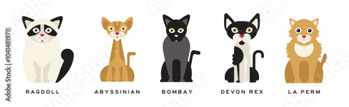 Different Cat Breed as Domestic Pet in Sitting Pose with Name Vector Set
