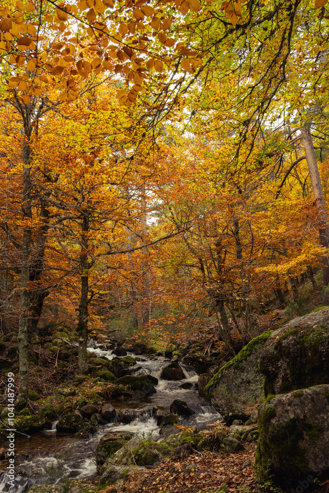 Urbion Mountains and Black Lagoon (Sierra de Urbion - Laguna Negra) Nature Reserve, Soria, Spain. Autunm season. Colorful picture. Urbion Mountains and Black Lagoon (Sierra de Urbion - Laguna Negra) Nature Reserve, Soria, Spain. Autunm season. Colorful picture.