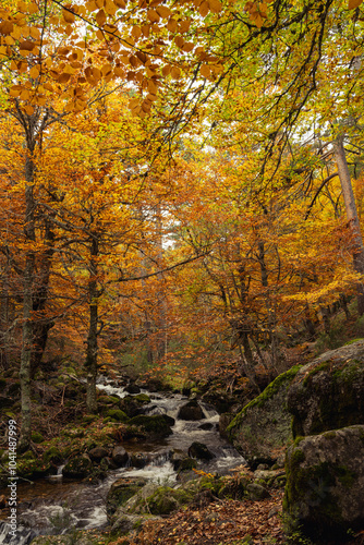 Urbion Mountains and Black Lagoon (Sierra de Urbion - Laguna Negra) Nature Reserve, Soria, Spain. Autunm season. Colorful picture.