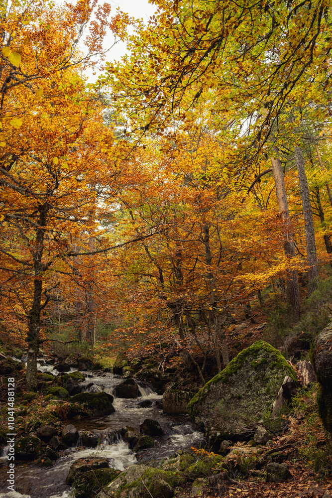 Urbion Mountains and Black Lagoon (Sierra de Urbion - Laguna Negra) Nature Reserve, Soria, Spain. Autunm season. Colorful picture. Urbion Mountains and Black Lagoon (Sierra de Urbion - Laguna Negra) Nature Reserve, Soria, Spain. Autunm season. Colorful picture.