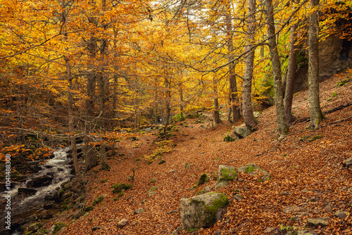 Urbion Mountains and Black Lagoon (Sierra de Urbion - Laguna Negra) Nature Reserve, Soria, Spain. Autunm season. Colorful picture.