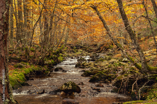 Urbion Mountains and Black Lagoon (Sierra de Urbion - Laguna Negra) Nature Reserve, Soria, Spain. Autunm season. Colorful picture.