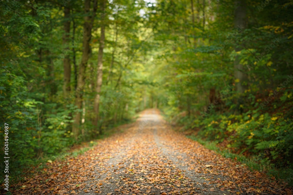 Fototapeta premium Serene forest path covered with autumn leaves, surrounded by lush green trees