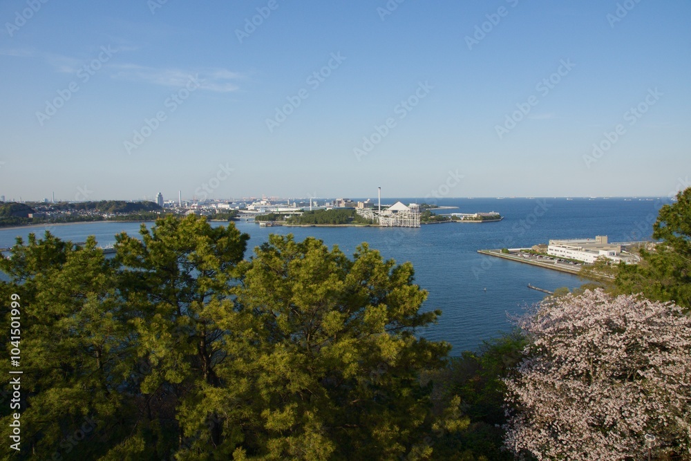 桜満開の春の野島公園
桜満開の春の野島公園
