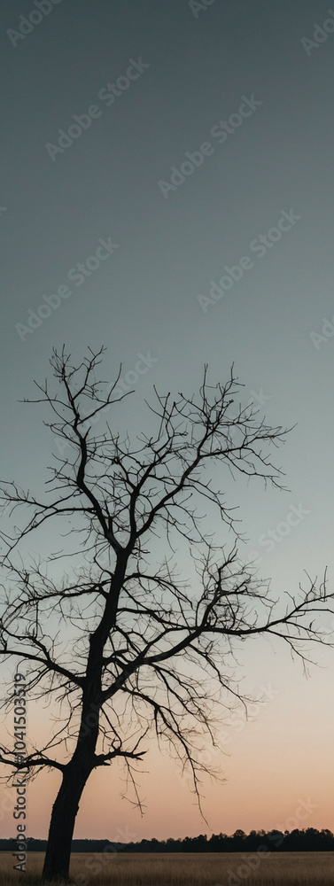 A lonely bare tree against a twilight sky A lonely bare tree against a twilight sky