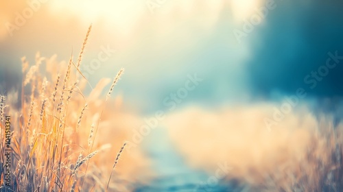 Foggy fall field with golden crops and mist in the air, creating a peaceful autumn landscape for stock photography and seasonal themes.