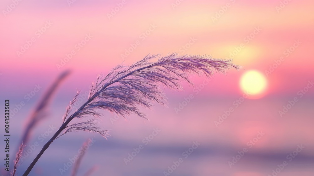 Obraz premium Close up of a delicate grass stem at sunset over a tranquil sea with the sun dipping below the horizon Soft pink and purple pastel tones create a stunning natural backdrop