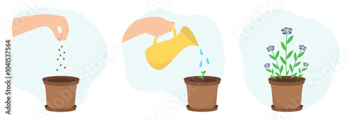 Planting and growing flowers. Seeding, watering, young sprout, bouquet in pot with buds and green leaves. Vector illustration. Design for gardening, houseplant or nature protection.