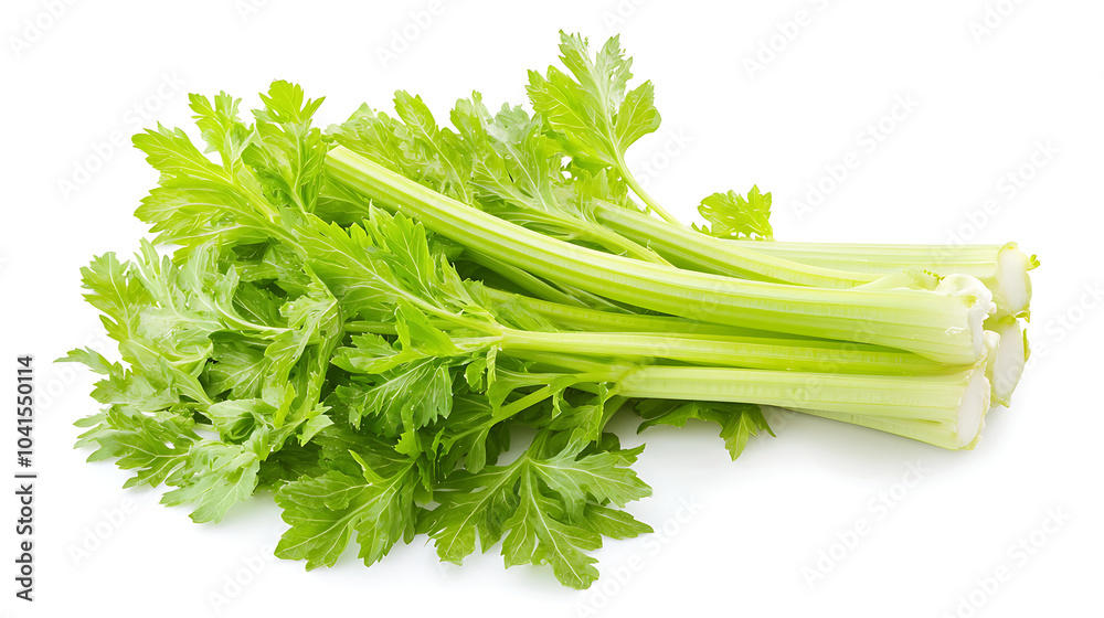 A fresh bundle of celery with crisp green stalks and leaves, isolated on a white background A fresh bundle of celery with crisp green stalks and leaves, isolated on a white background