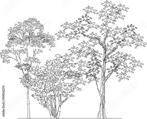 vector image design illustration of tree plants in parks and forests for city greening
