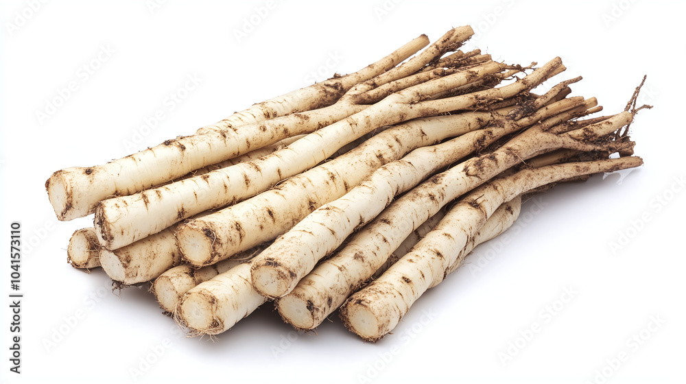 Fresh Salsify Roots - Organic Vegetable Harvest Fresh Salsify Roots - Organic Vegetable Harvest