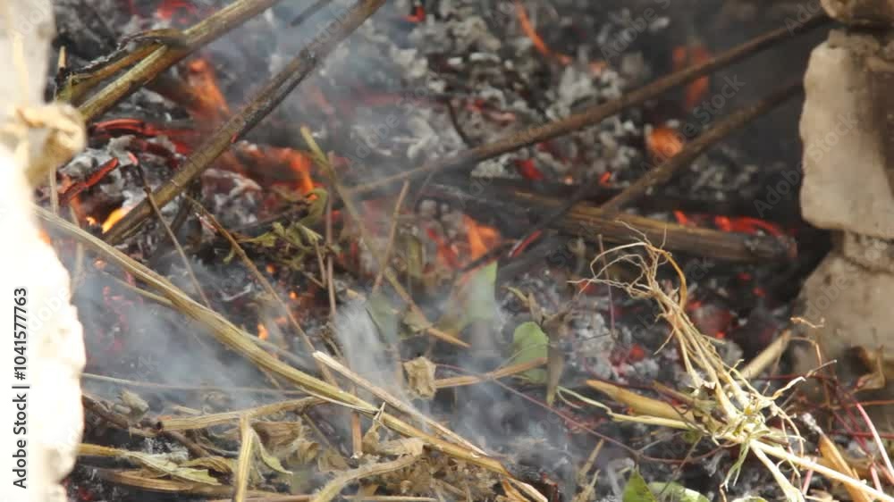 Watch as dry herbs are carefully placed in a street stove made of white bricks, igniting a fragrant smoke. The process highlights the traditional method of herb burning in an outdoor setting. Watch as dry herbs are carefully placed in a street stove made of white bricks, igniting a fragrant smoke. The process highlights the traditional method of herb burning in an outdoor setting.