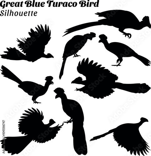Great blue turaco bird silhouettes vector illustration set