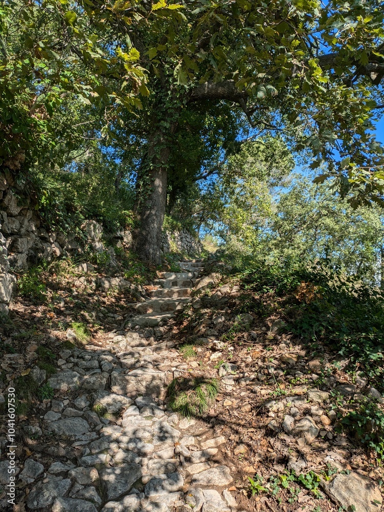 Stone pathway through lush forest under blue sky. Stone pathway through lush forest under blue sky.