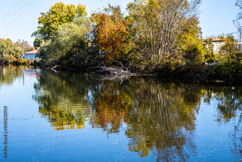 Wallpaper Mural autumn in the park Torontodigital.ca