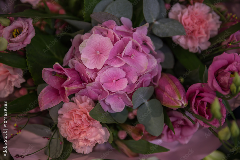 pink roses in a garden pink roses in a garden