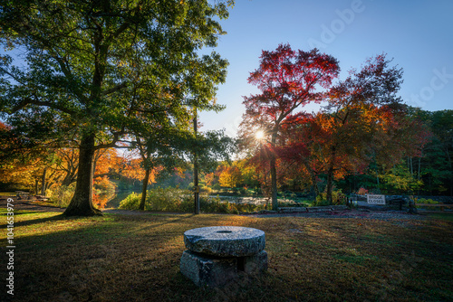 autumn in the park