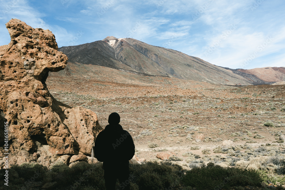 Fototapeta premium hiker in the mountains