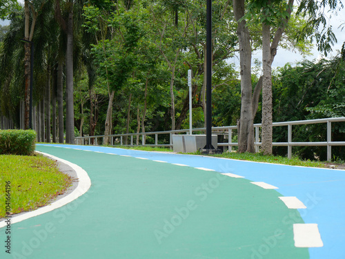 A walking path in a park, shaded by many trees.