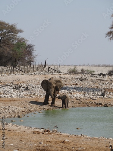 Elefant mit Baby badet in Wasserloch in Namibia
