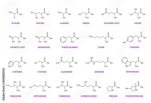 Amino acid chemical molecules and essential chain structures, vector molecular formula. Glycine, lysine and glutamine, arginine and leucine amino acids molecular structures and chain formulas