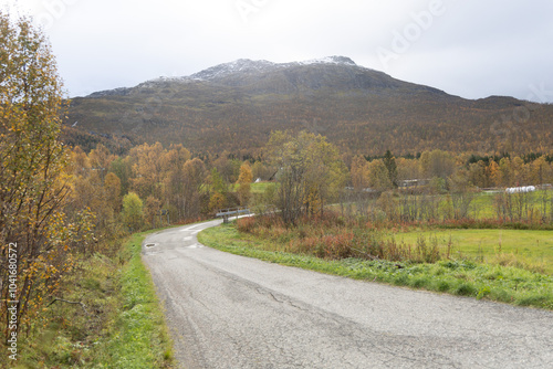 A beautiful autumn landscape in NOrthern Norway with a troad through the colorful trees and mountains. Seasonal scenery of Scandinavia.