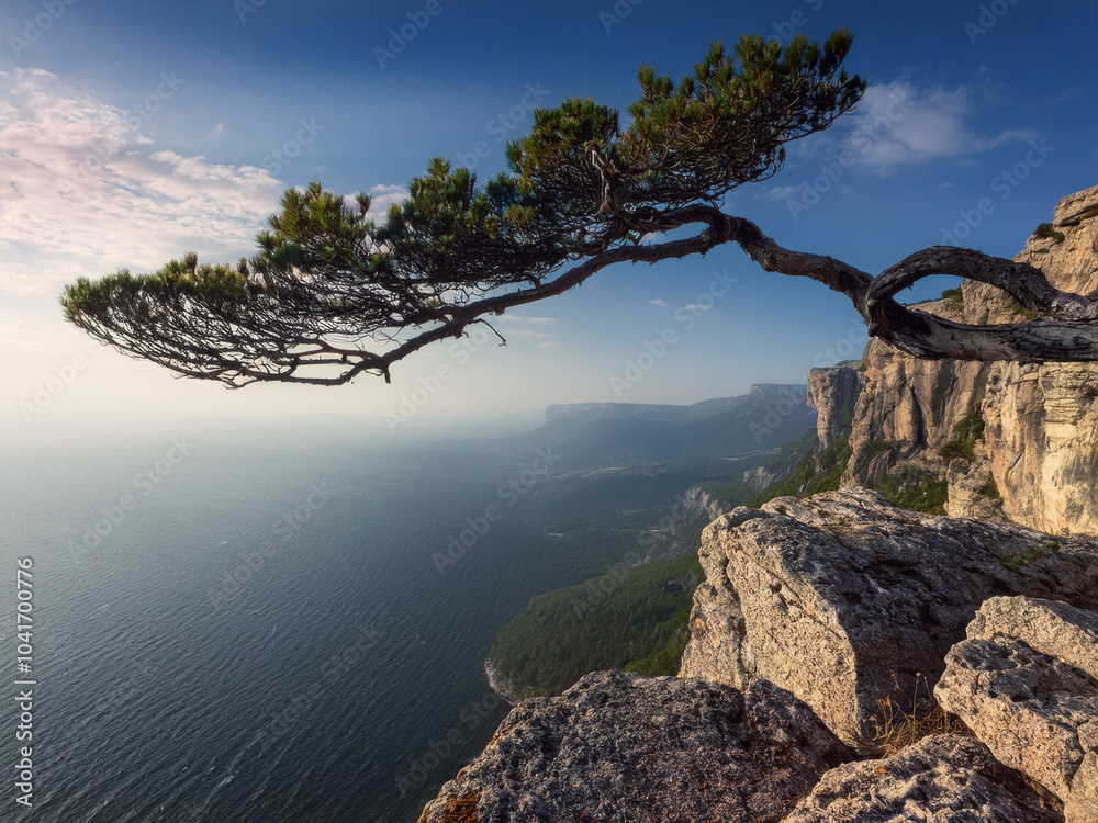 Fototapeta premium tree on the rocks