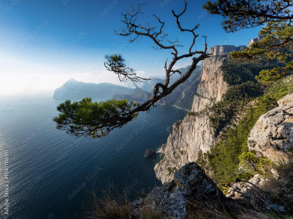 Obraz premium tree on the rocks