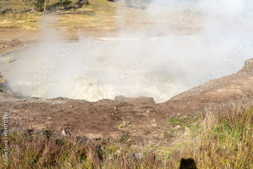 A view of hot springs in the Mud Volcano area of Yellowstone National Park.