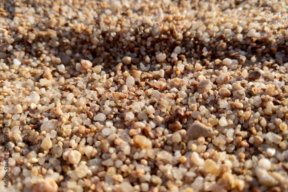 Close-Up of Sandy Pebbles on a Beach for Nature Backgrounds and Textures Close-Up of Sandy Pebbles on a Beach for Nature Backgrounds and Textures