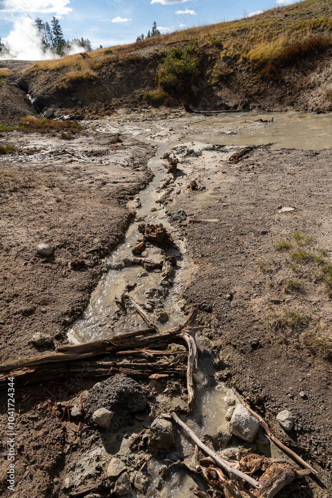 A view of hot springs in the Mud Volcano area of Yellowstone National Park. A view of hot springs in the Mud Volcano area of Yellowstone National Park.