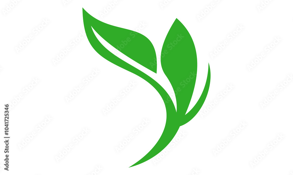 green leaf isolated on white background