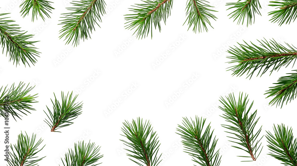 A collection of green pine branches arranged around a dark background, creating a natural and festive frame. A collection of green pine branches arranged around a dark background, creating a natural and festive frame.